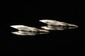 THUNDER EARRINGS